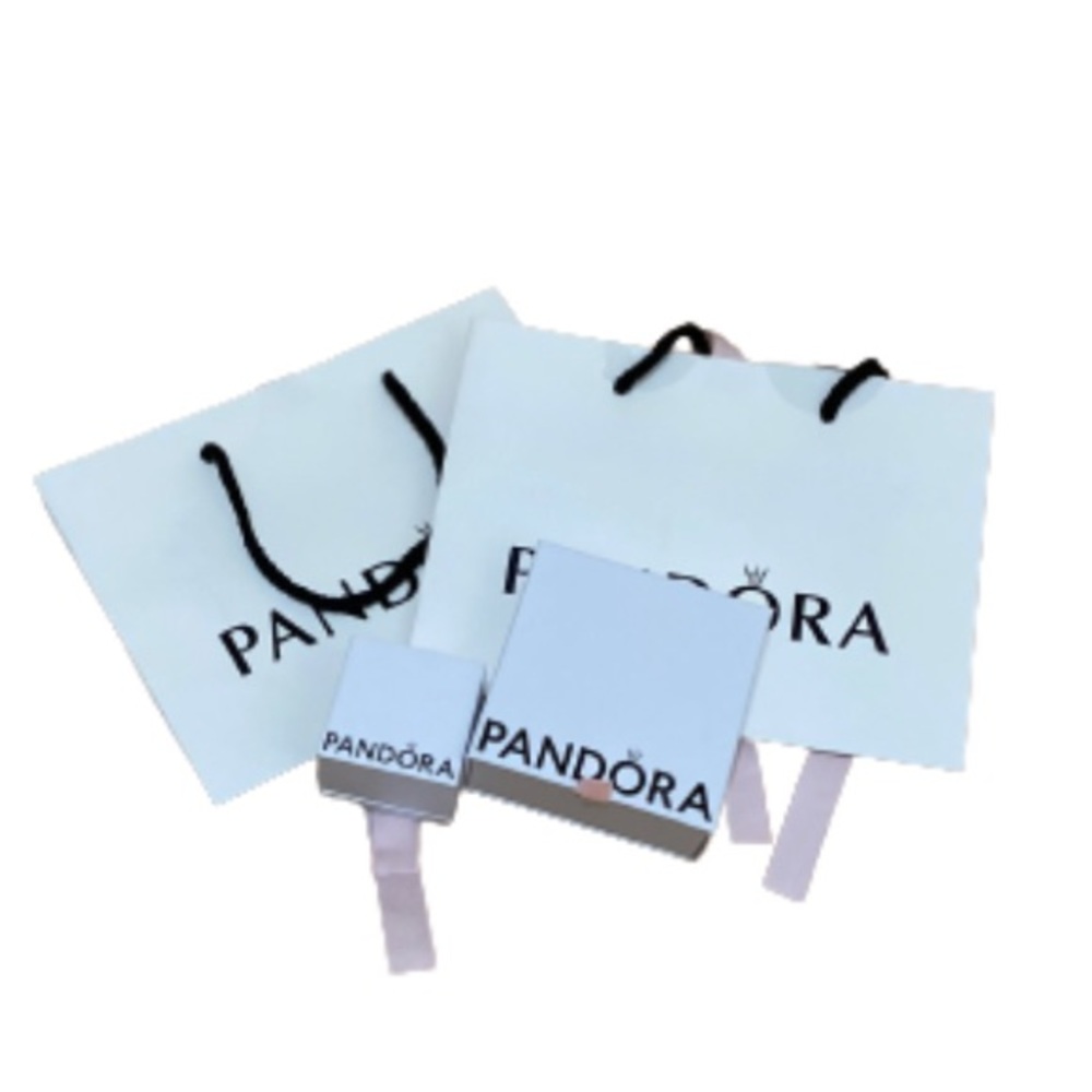 4 pcs | Set of Pandora Paper Bags and Boxes